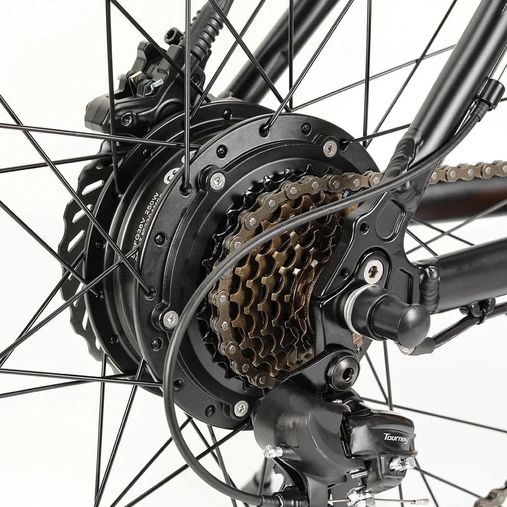 Eleglide M2 Mopride Mountain E-Bike 250W