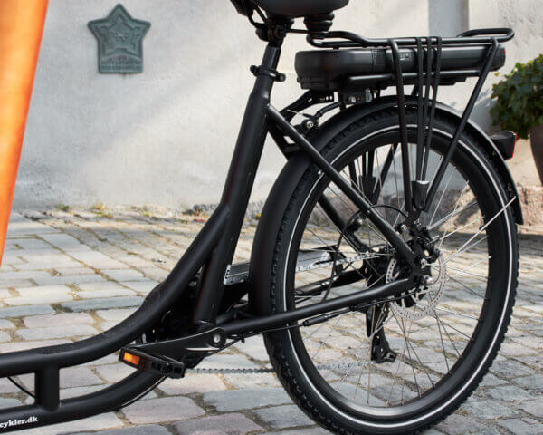 AMCargo Bikes Ultimate Harmony Tadpole Cargo Electric Tricycle 250W - Bike N Fitness