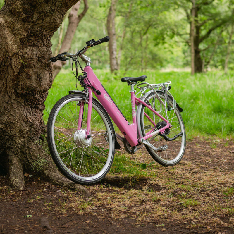 EMU Classic Step Through Electric Bike 250W - Bike N Fitness