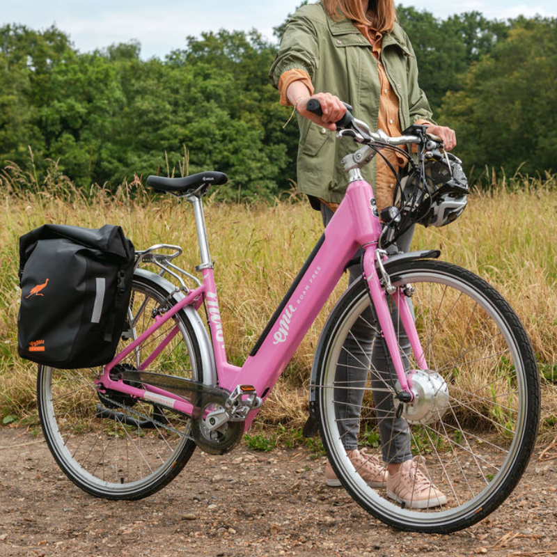 EMU Classic Step Through Electric Bike 250W - Bike N Fitness