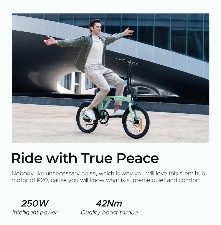 ENGWE P20 250W Foldable Electric Bike E bike 25kmh Quiet Motor with Torque Sensor - Bike N Fitness
