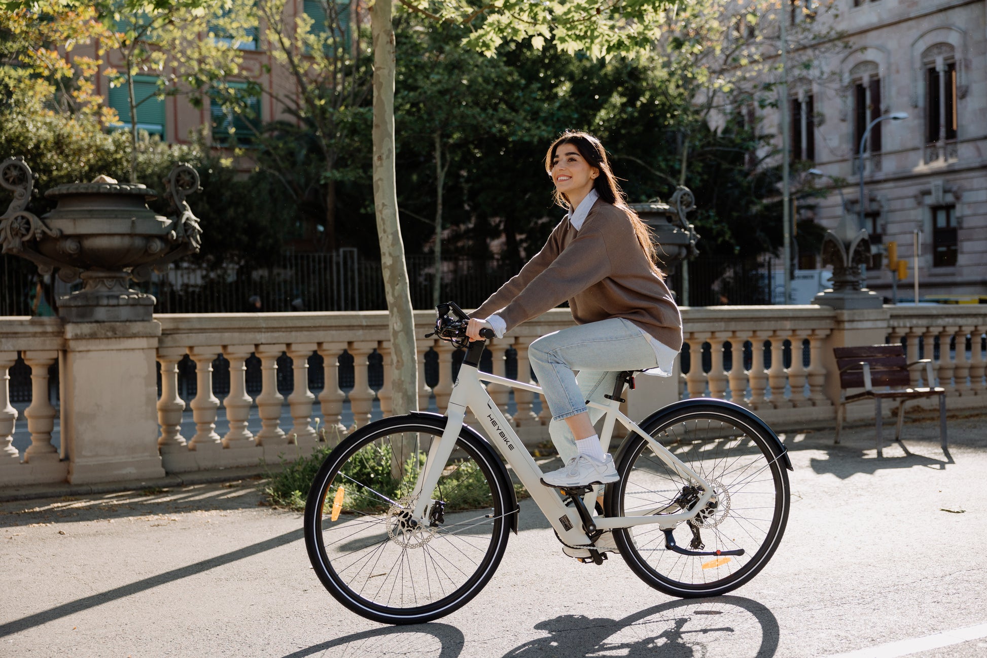 HEYBIKE EC1 Commuter Electric Bike 250W - Bike N Fitness