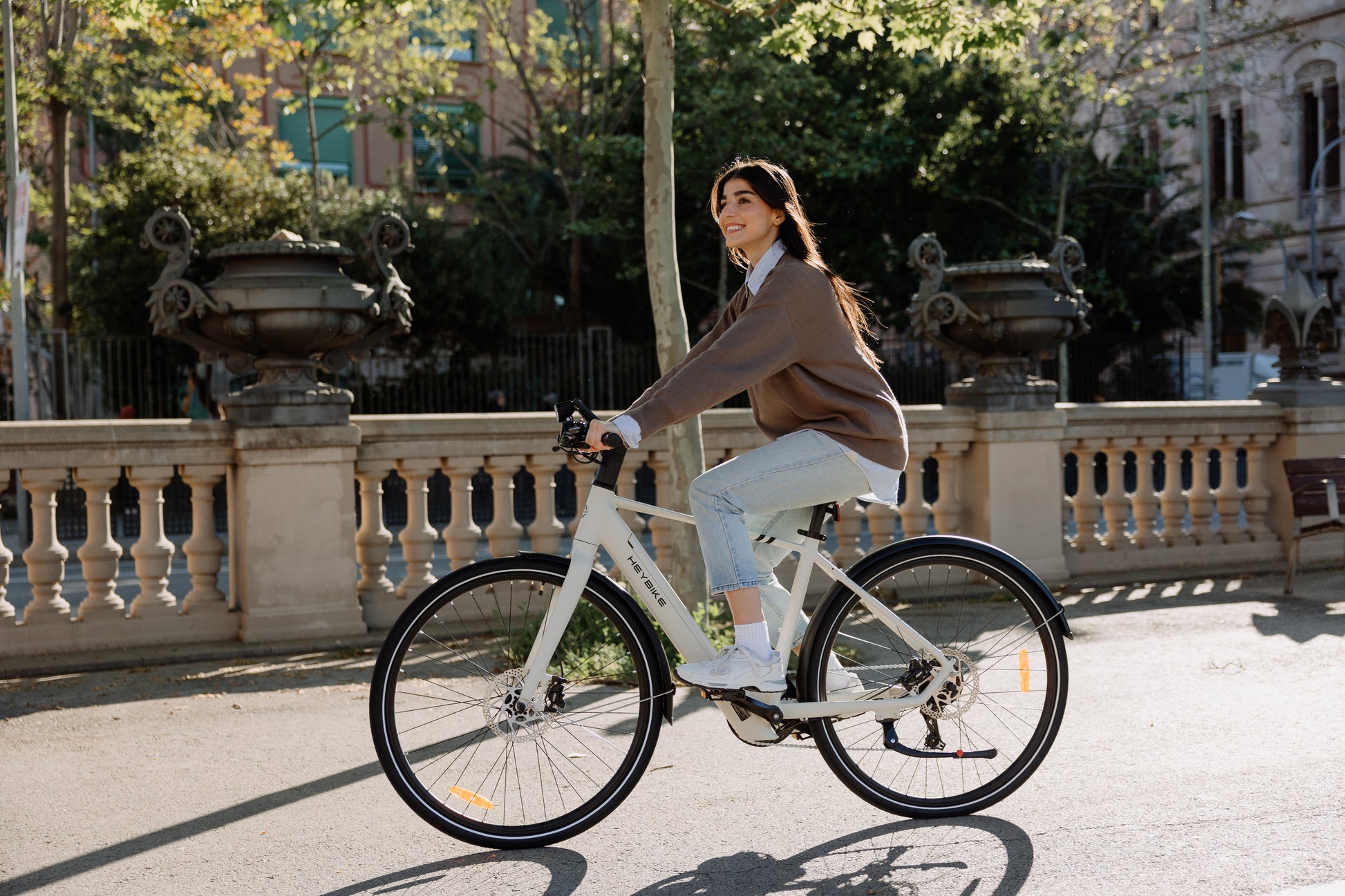 HEYBIKE EC1 Commuter Electric Bike 250W - Bike N Fitness