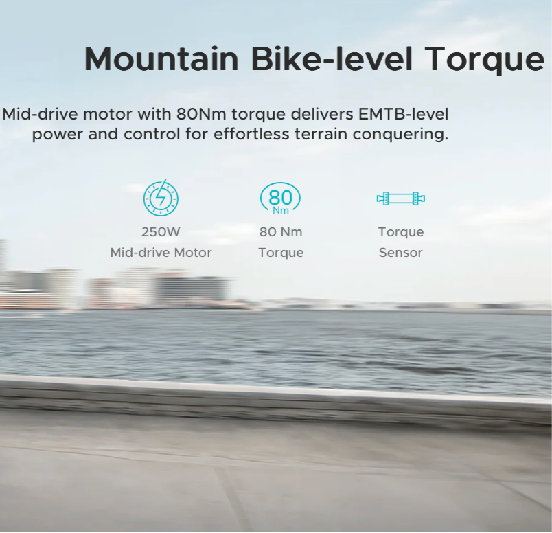 ENGWEMAPFOURN1PRO250WMid-driveMotor_80NmTorqueCarbonFiberCityE-bike_jpg