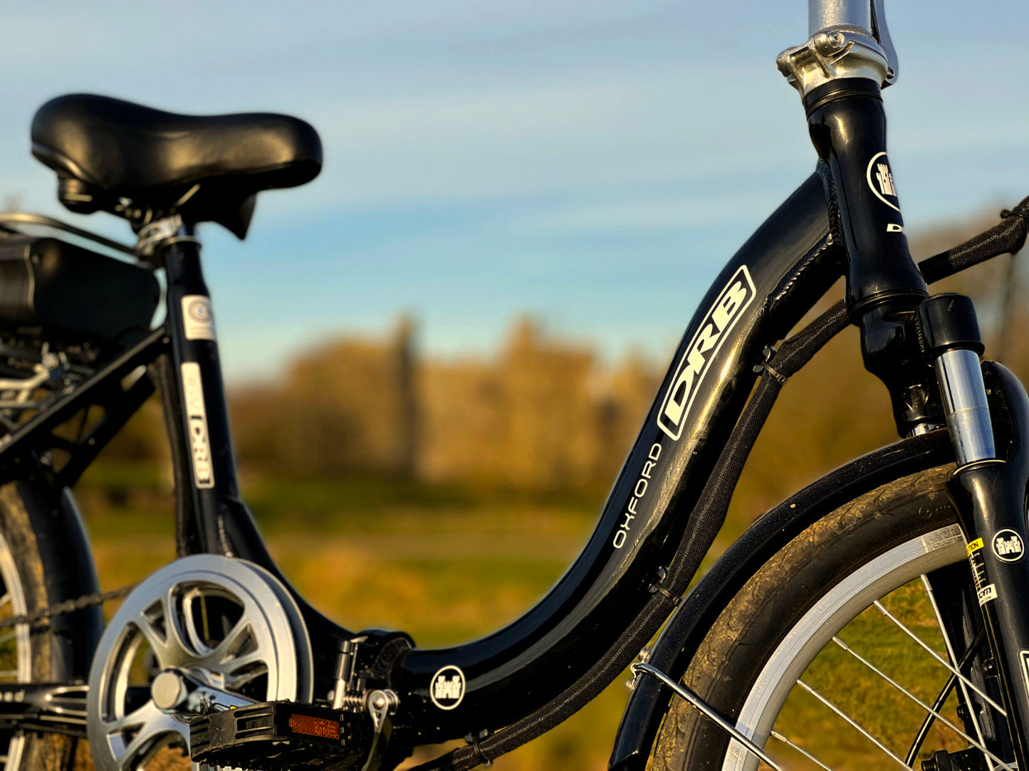 Dallingridge Oxford Low Step Folding Electric Bike