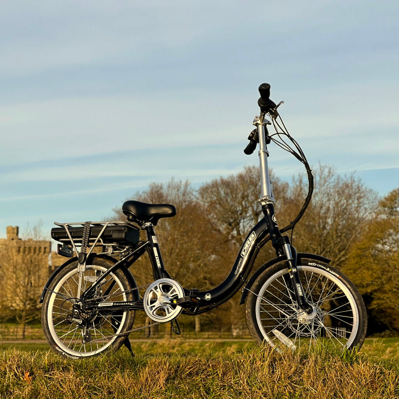 Dallingridge Oxford Low Step Folding Electric Bike