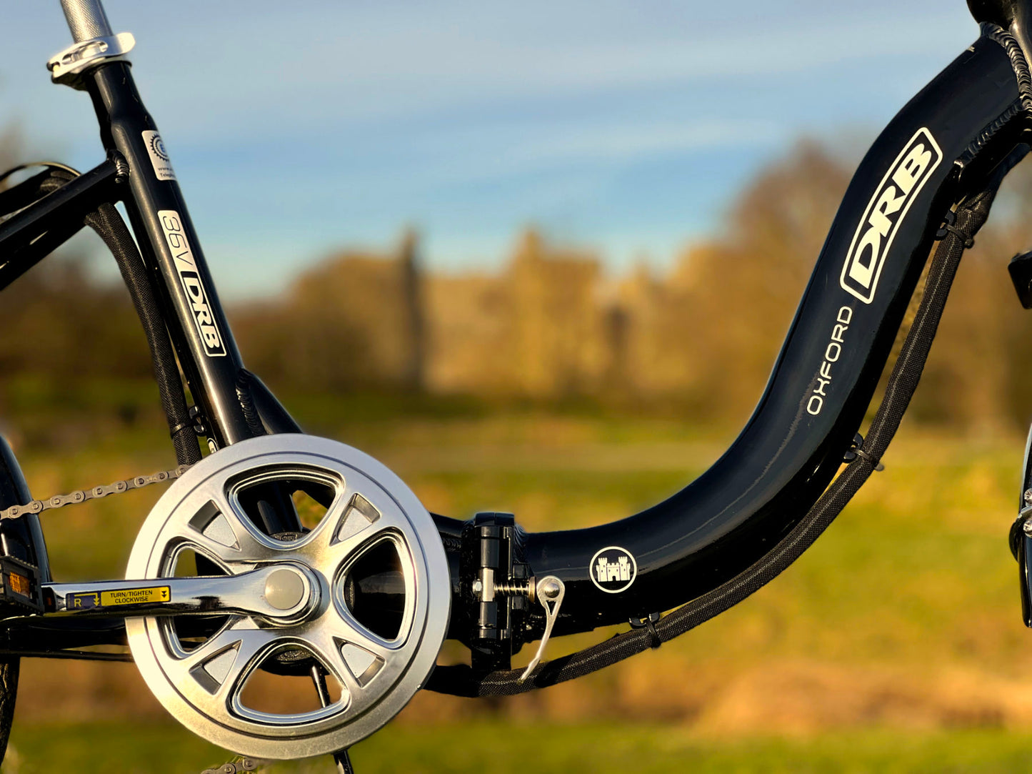 Dallingridge Oxford Low Step Folding Electric Bike