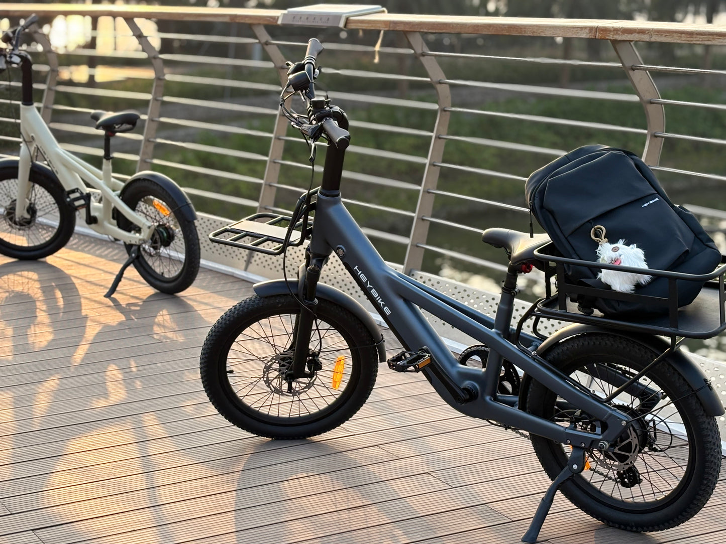HEYBIKE EC Compact Sport Electric Bike - Bike N Fitness